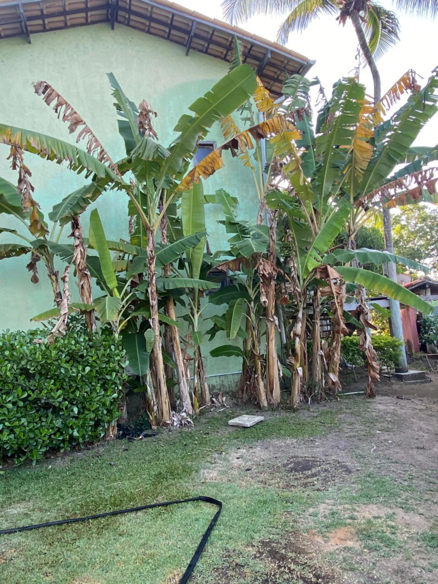 Supreme Caju 4 Apartamento Maceió