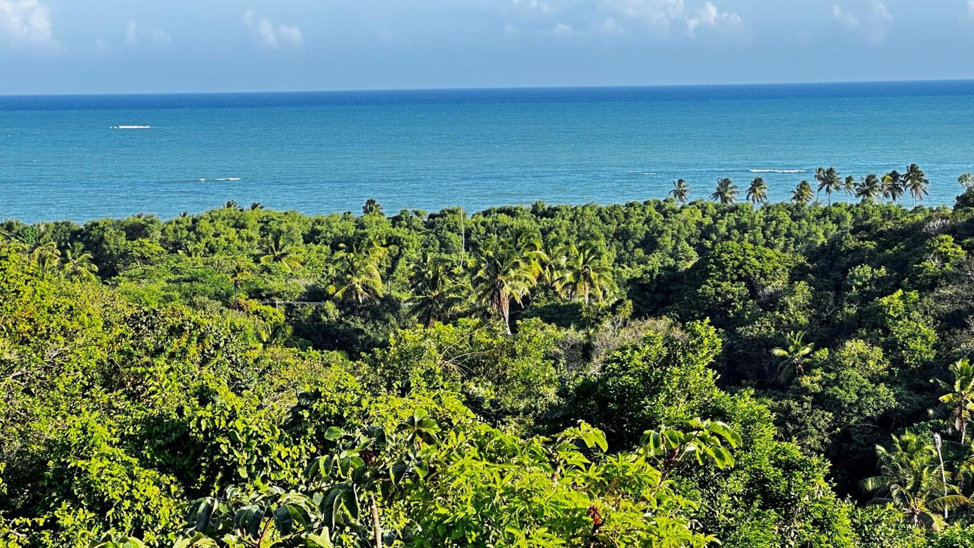 Supreme Caju 4 * Maceió